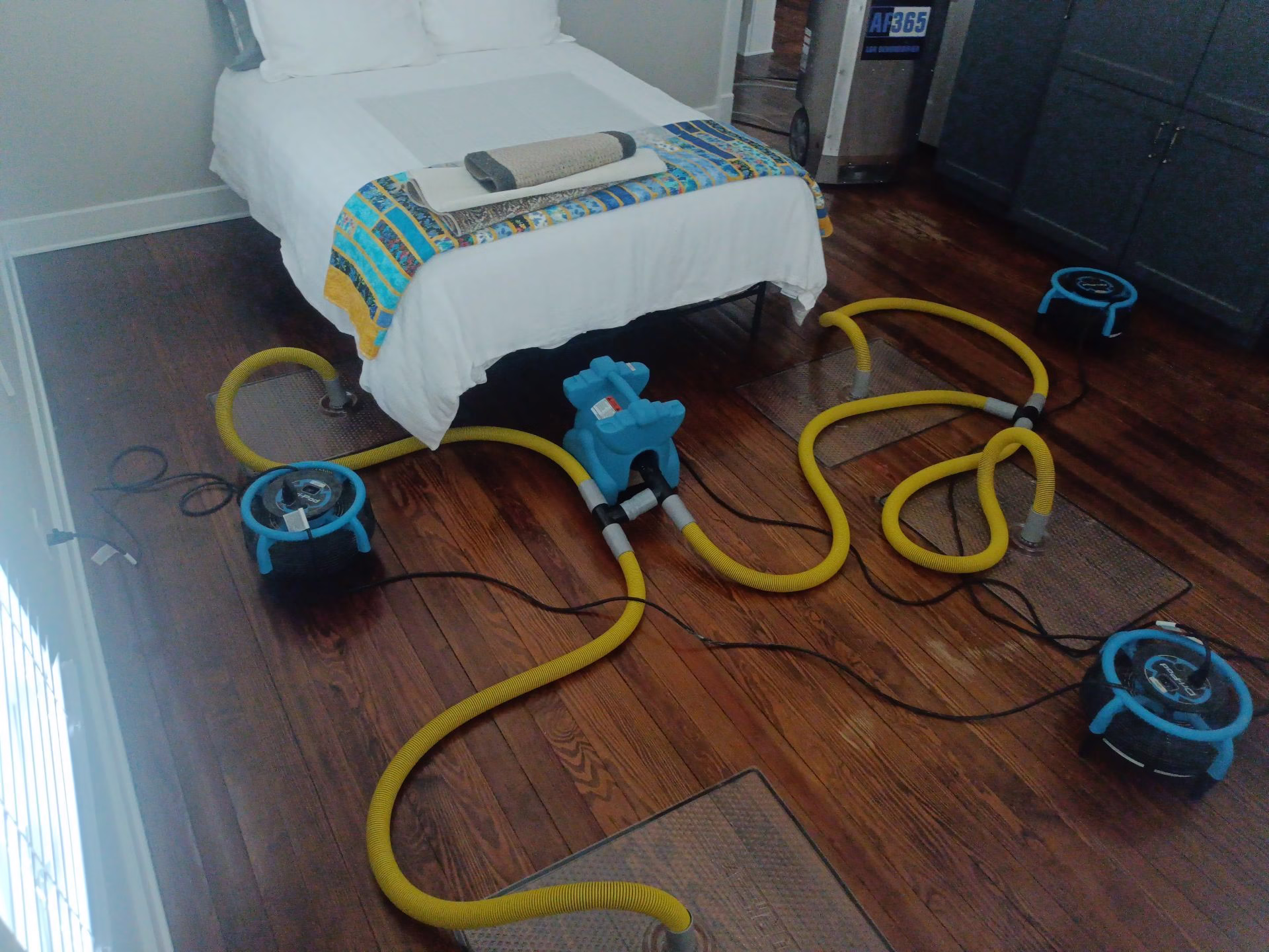 Injectidry floor drying system and air movers working on water-damaged hardwood floor in bedroom