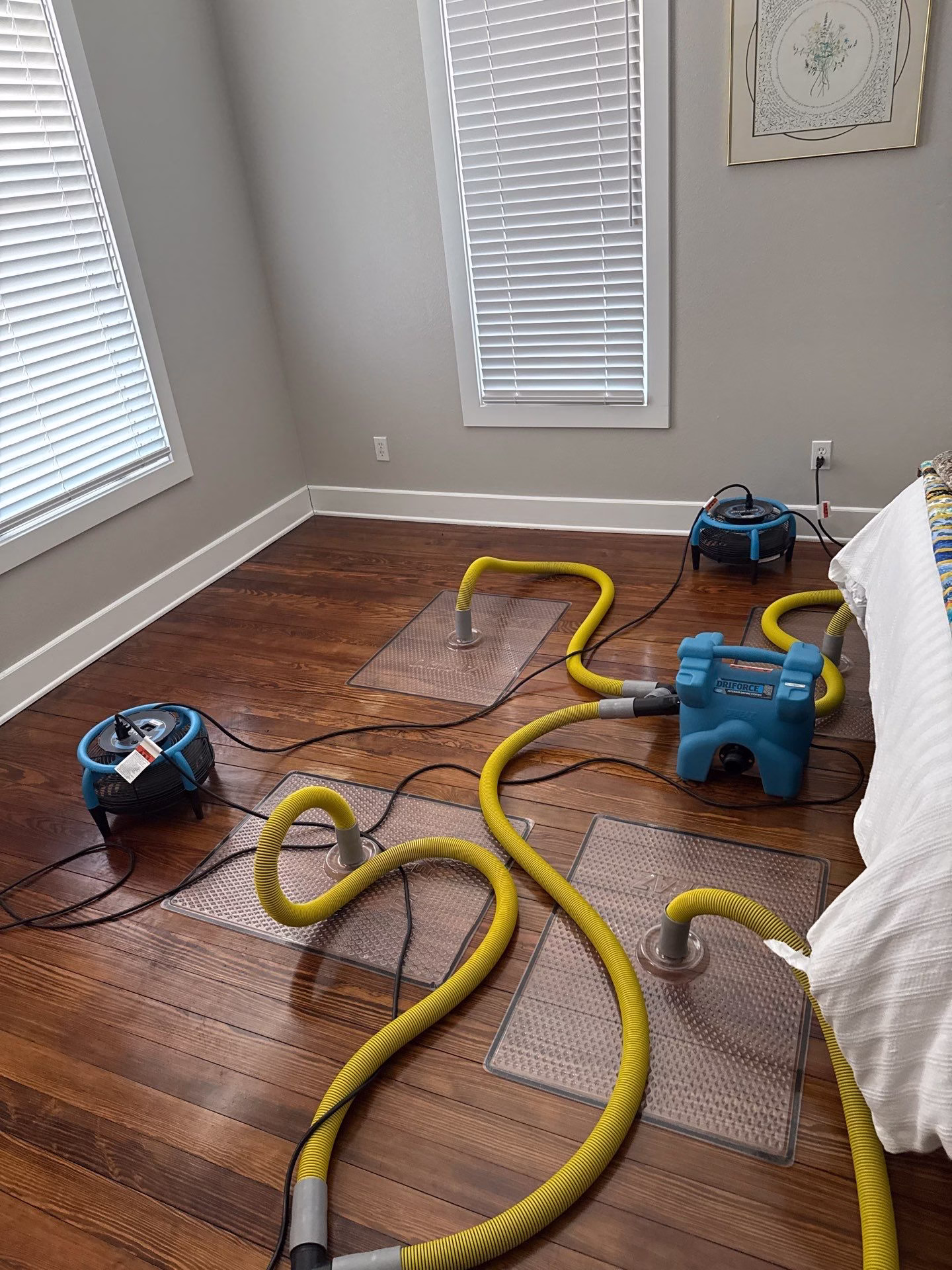 Multiple Injectidry drying mats positioned on hardwood floor
