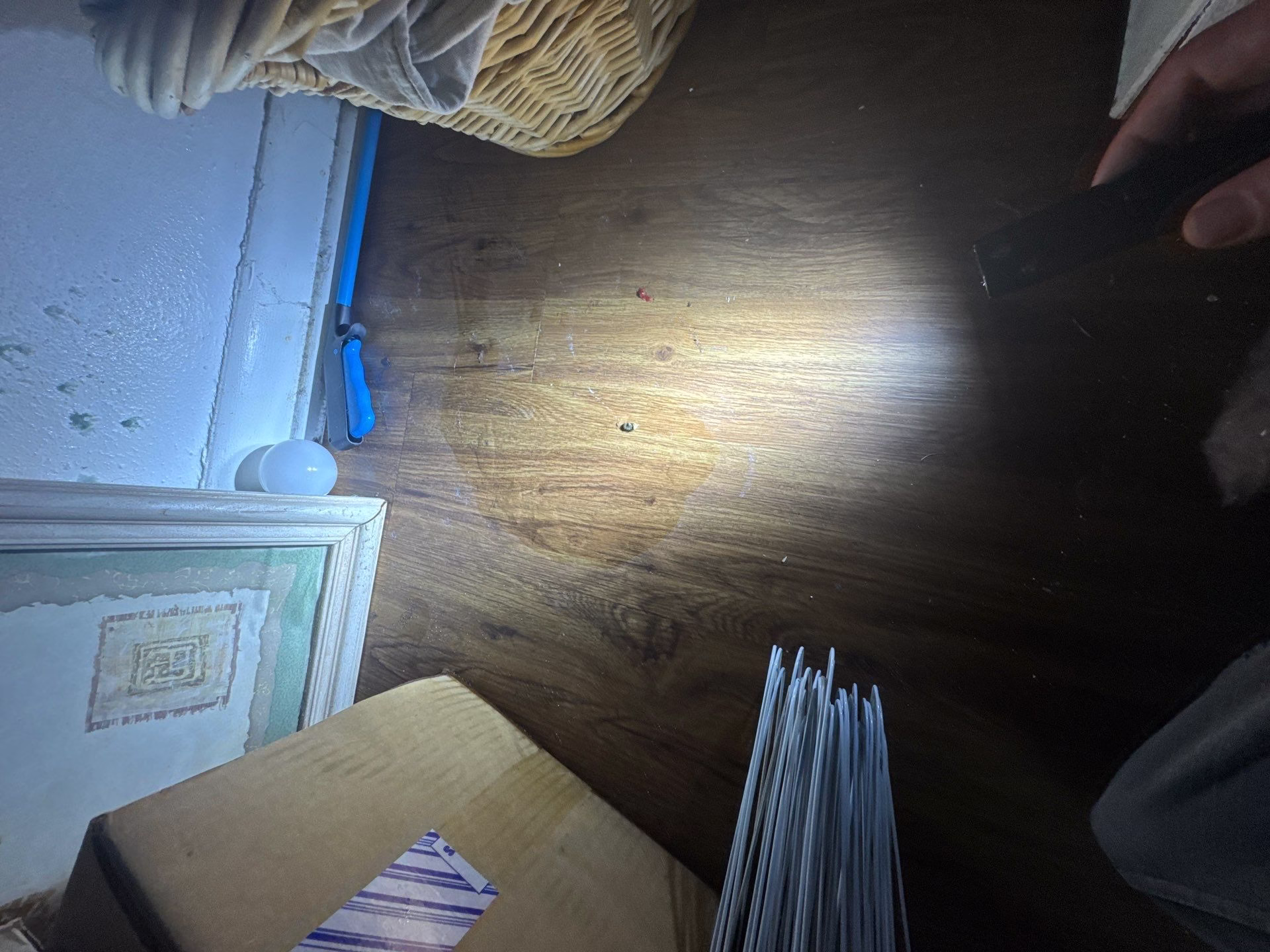 Water stain spreading across flooring in Georgetown TX home