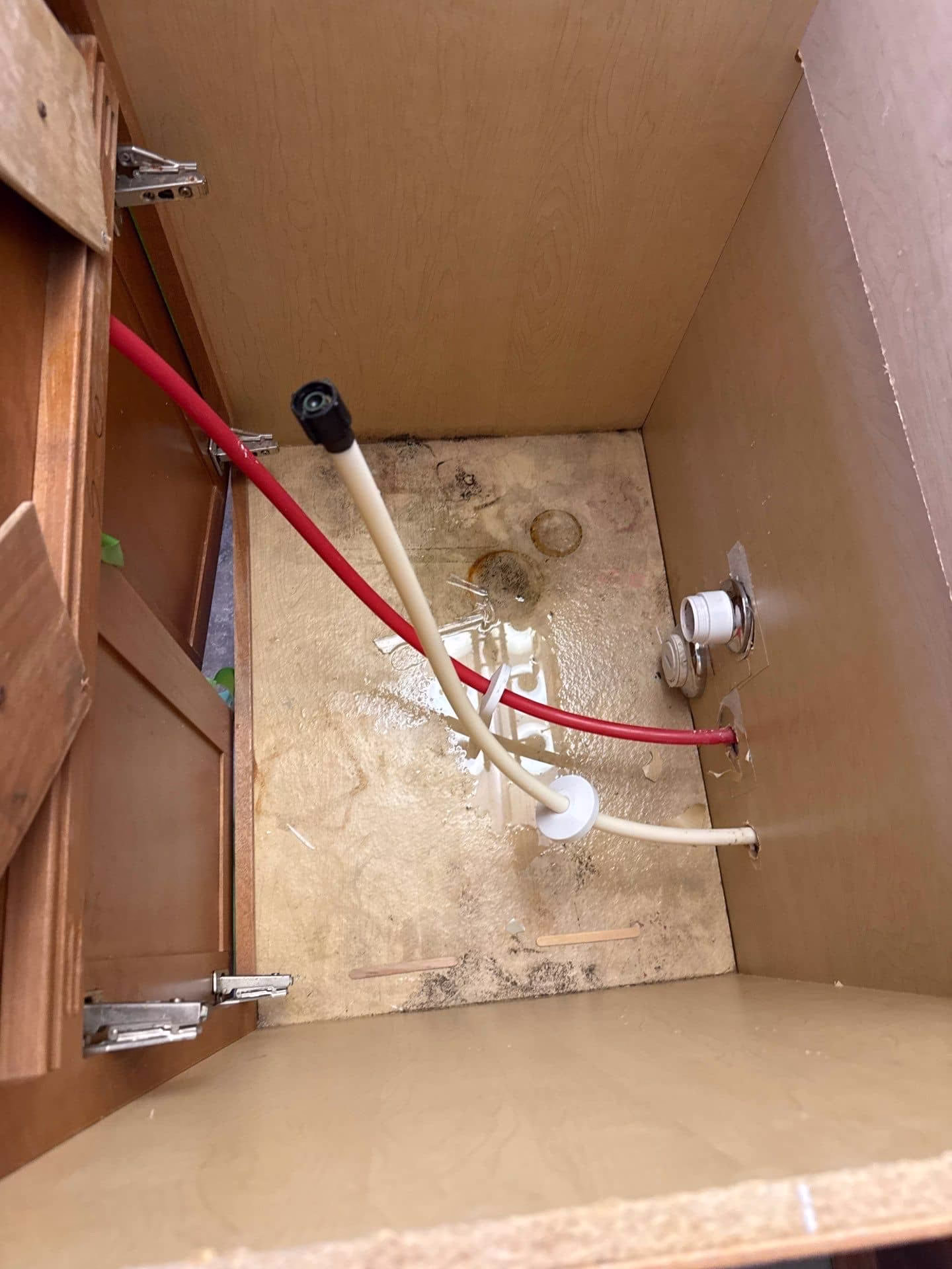 Exposed bathroom plumbing during mold remediation revealing leak source