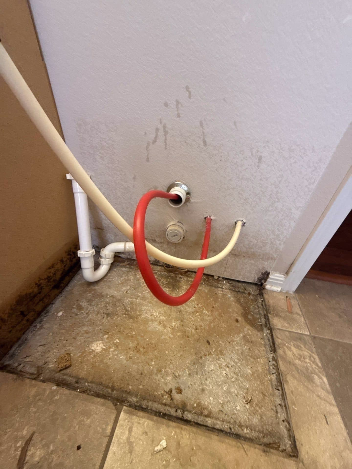 Additional mold damage discovered spreading beyond the bathroom cabinet area