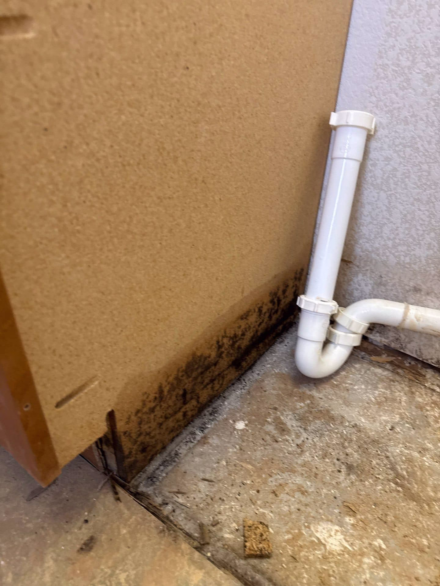 Mold growth found around plumbing connections under bathroom sink cabinet
