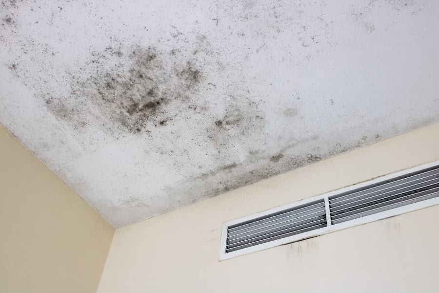 Black mold spreading across a ceiling near a wall vent inside an Austin TX bathroom