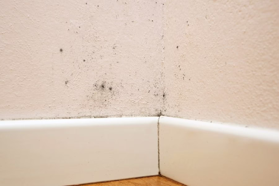 Technician in protective equipment inspecting mold growth on basement wall framing after prolonged water exposure, moisture meter in use
