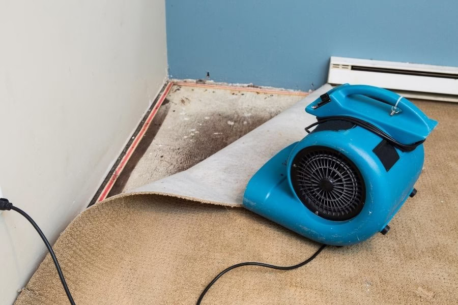 Dehumidifiers and air movers operating in a partially finished basement during the drying phase, plastic sheeting separating work zones