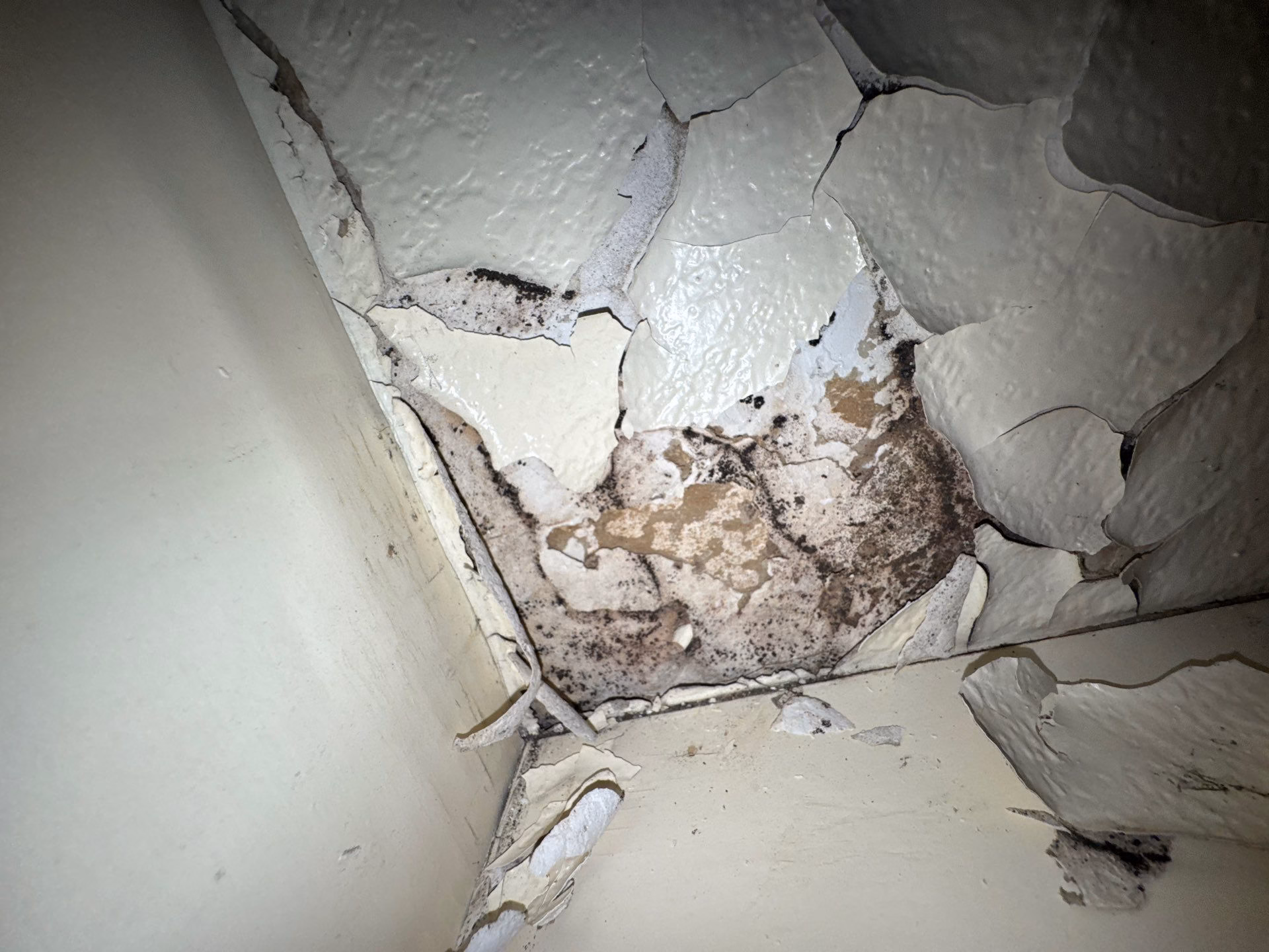 Crumbling drywall in a ceiling corner caused by water intruding from above the wall