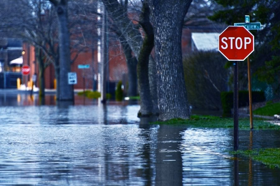 What Makes Buda Properties Vulnerable