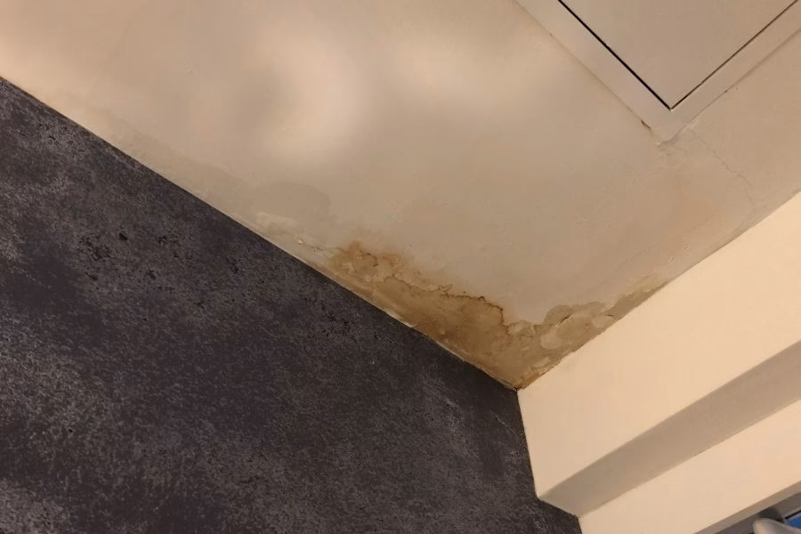 Water Damage Restoration Buda TX: From Damage to Done