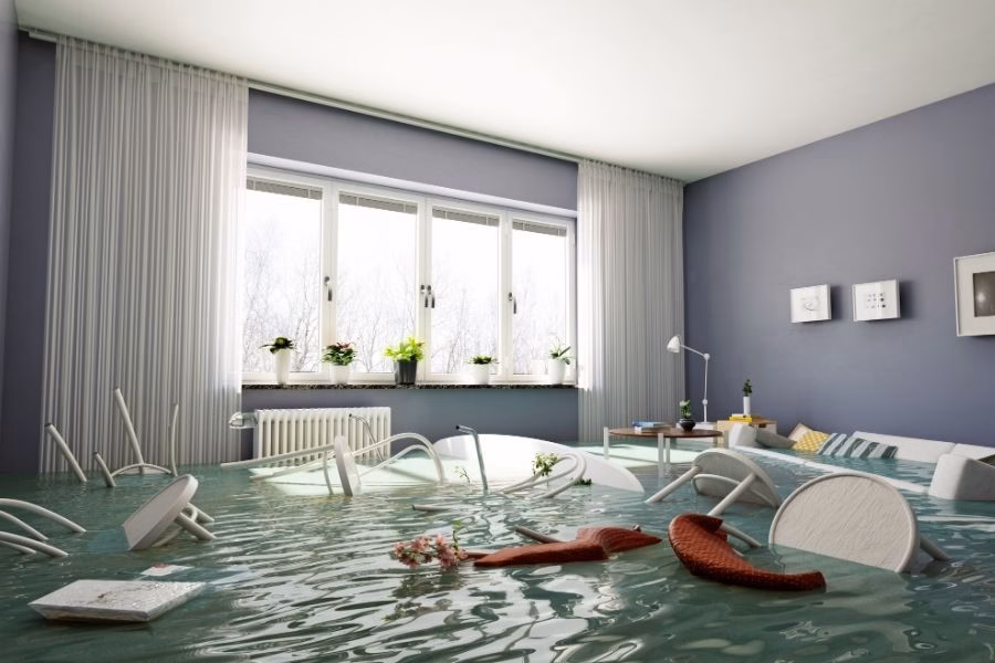 Water Damage Restoration Jollyville TX: Local Team, Real Results