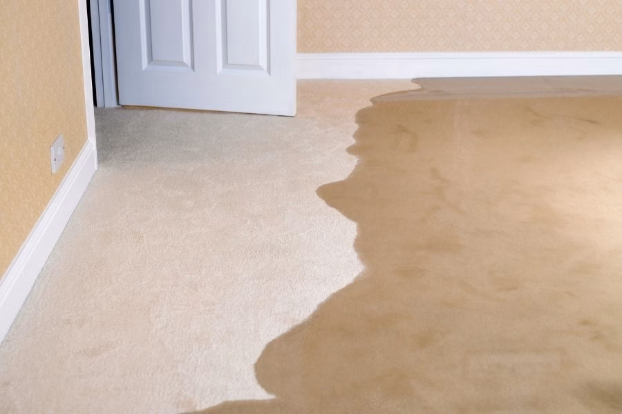 Recover Faster with Water Damage Restoration Kyle TX Specialists