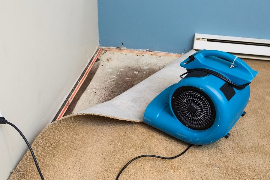 Restoration Services for Manor Area Homes and Businesses